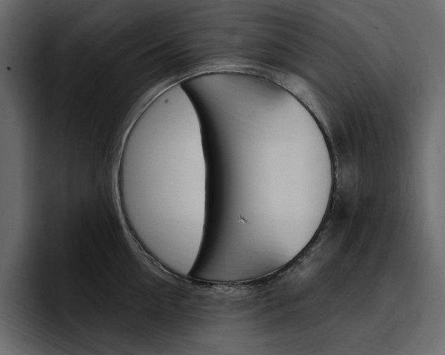 X0000097490954200802220838