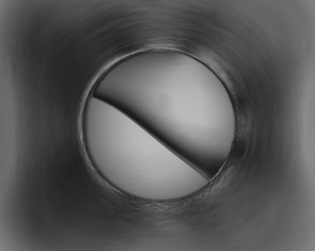 X0000097490955200802220838