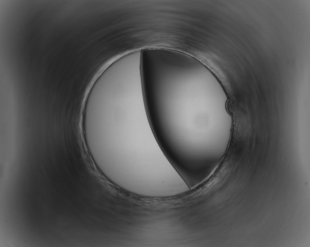 X0000097490956200802220838
