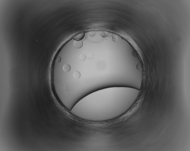 X0000097490957200802220838
