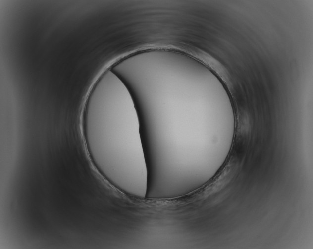 X0000097490958200802220838