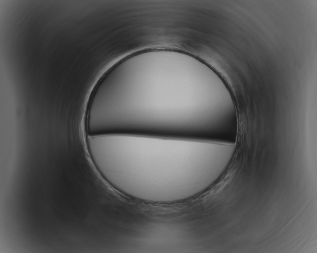 X0000097490959200802220838