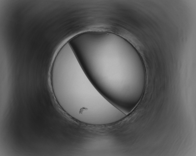 X0000097490960200802220838