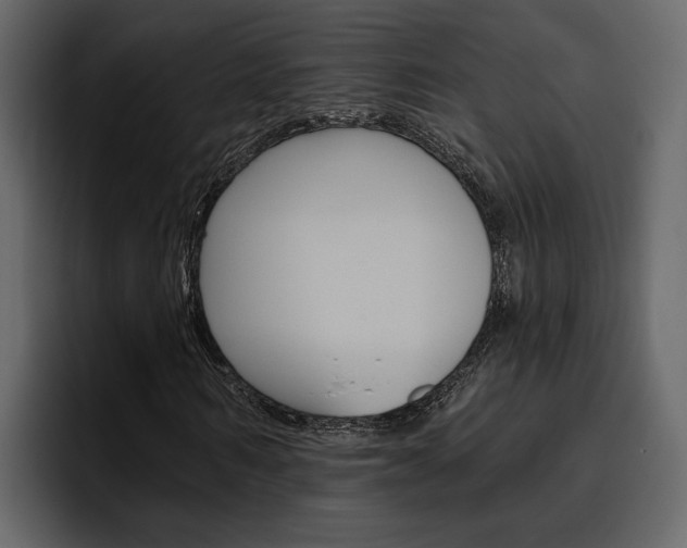 X0000097490962200802220837
