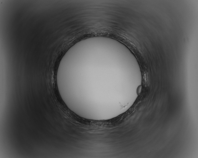 X0000097490963200802220837