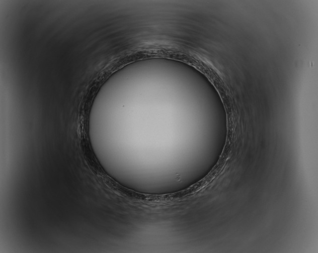 X0000097490965200802220837