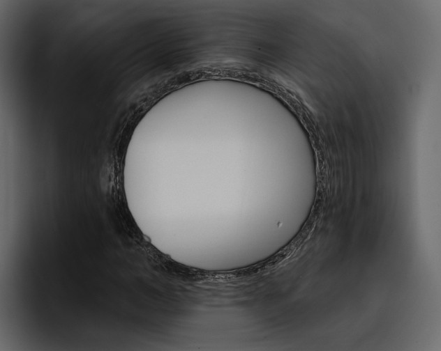 X0000097490966200802220837