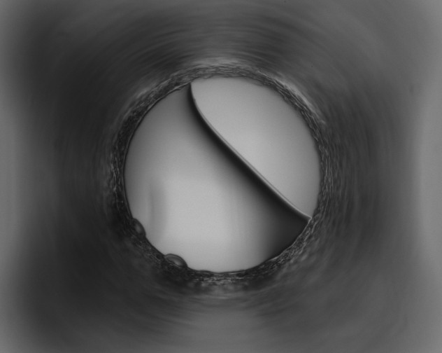 X0000097490967200802220837