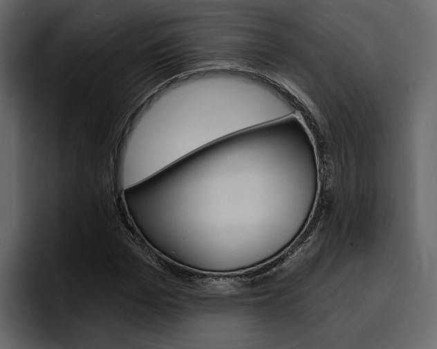 X0000097490969200802220837