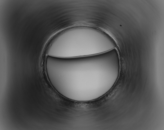 X0000097490971200802220837