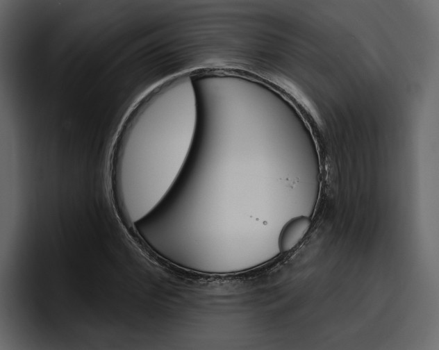 X0000097490972200802220837