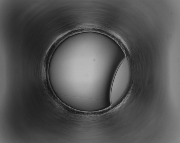 X0000097490973200802220837