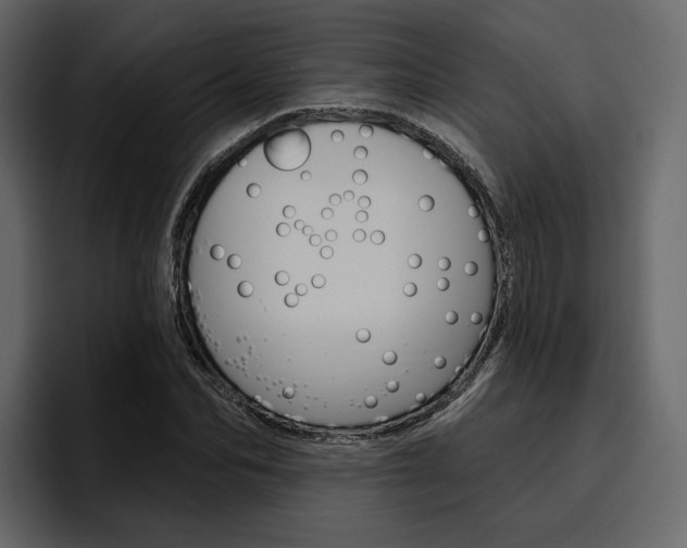 X0000097490974200802220837