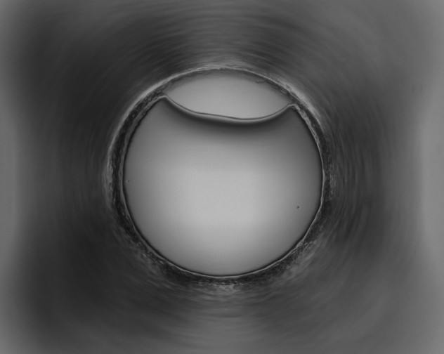 X0000097490975200802220837