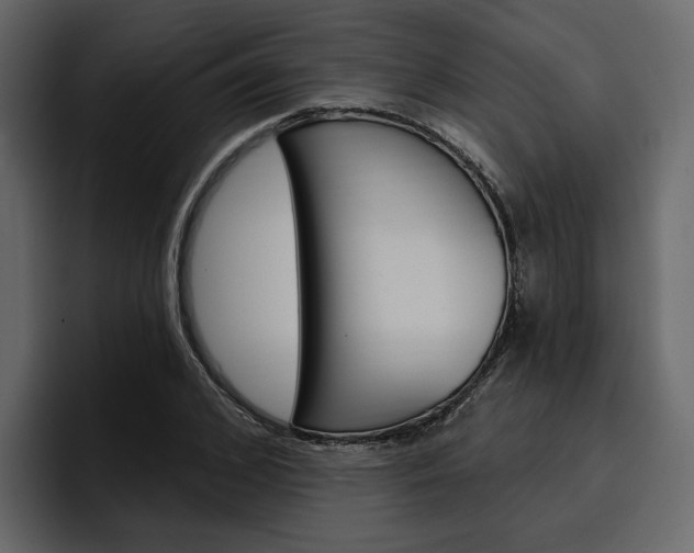 X0000097490976200802220837