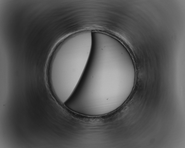 X0000097490979200802220837