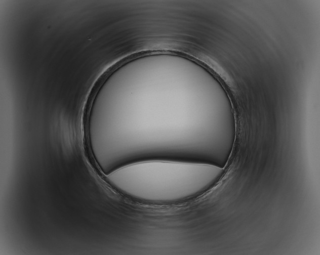 X0000097490980200802220837