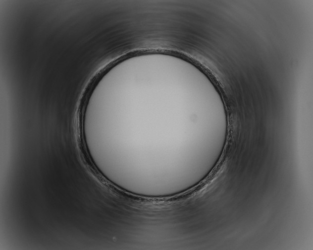 X0000097490982200802220837