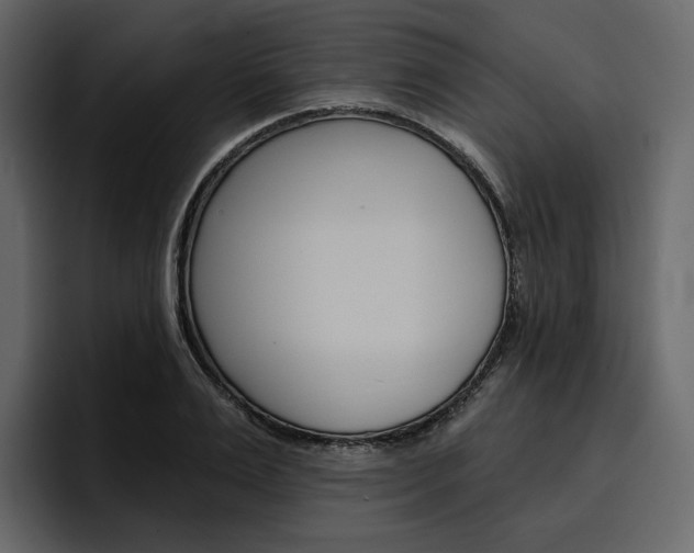 X0000097490983200802220837