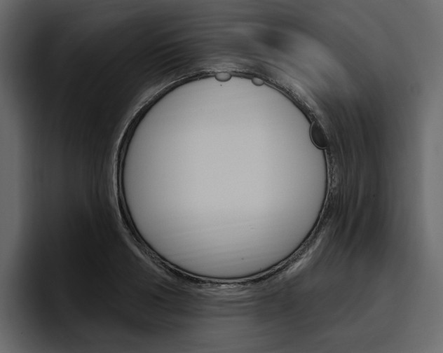 X0000097490986200802220837