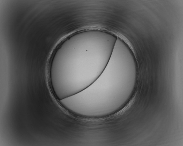 X0000097490989200802220837