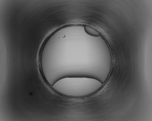 X0000097490990200802220837