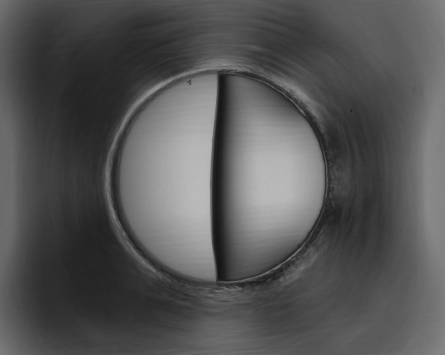 X0000097490991200802220837
