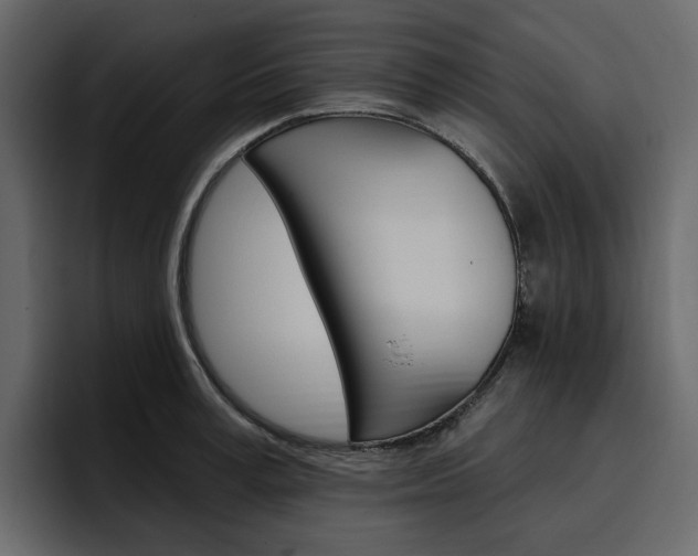 X0000097490995200802220837