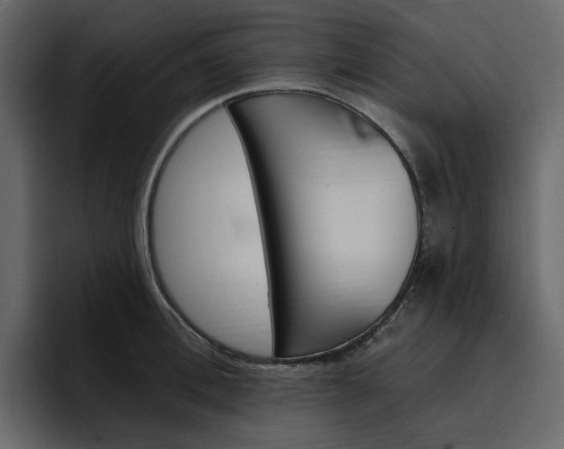 X0000097490996200802220837