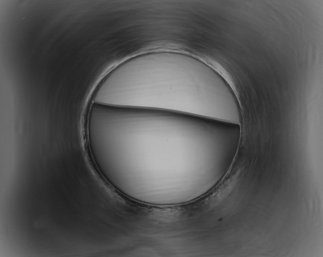 X0000097490997200802220837