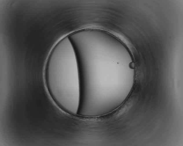 X0000097490999200802220837