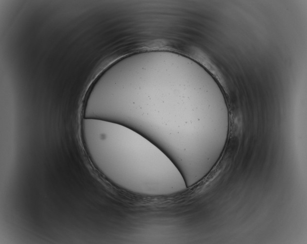 X0000097491002200802220837