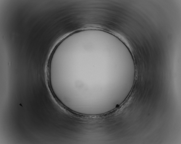 X0000097491003200802220837