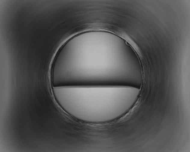 X0000097491004200802220837