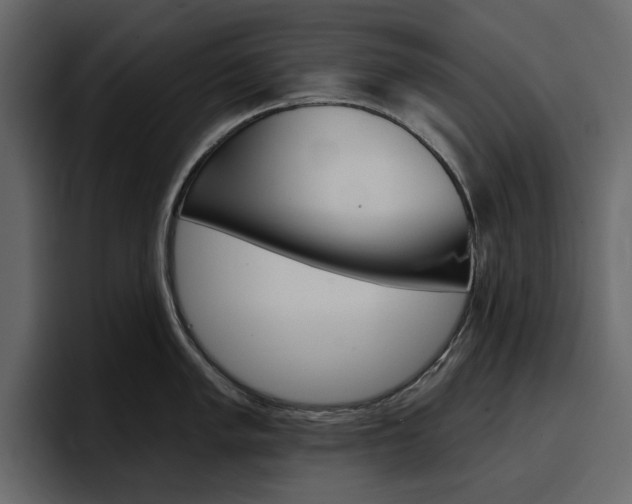 X0000097491005200802220837