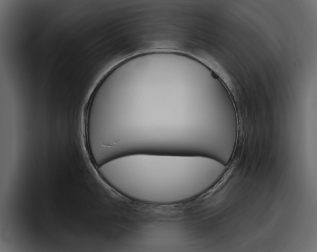 X0000097491006200802220837