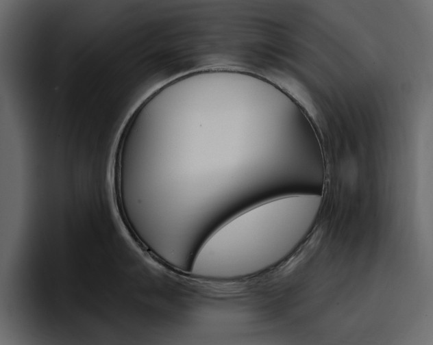 X0000097491007200802220837