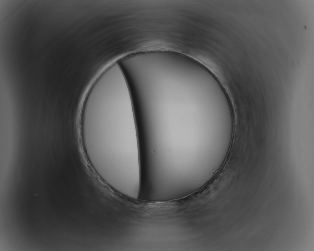 X0000097491008200802220837