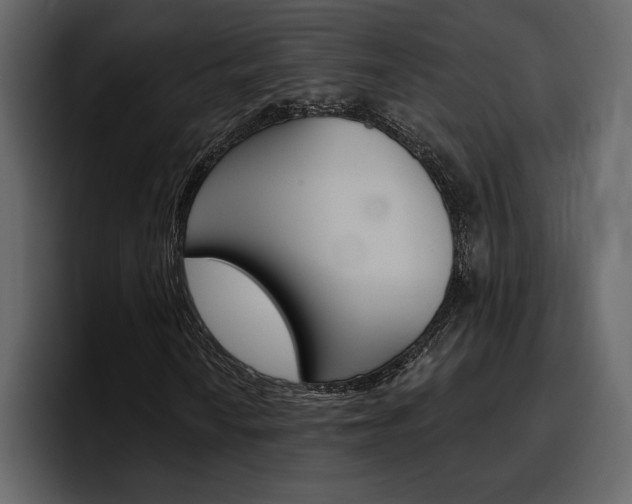 X0000097491010200802220836