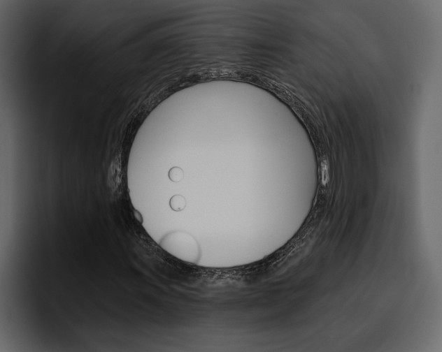 X0000097491011200802220836