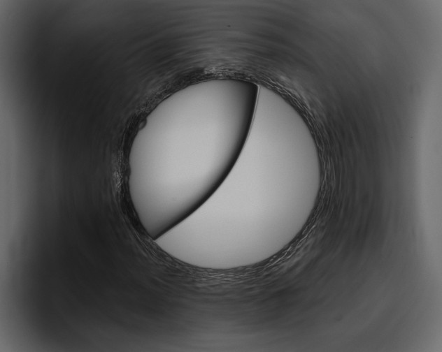 X0000097491012200802220836