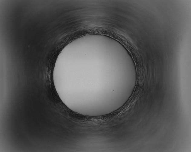 X0000097491013200802220836