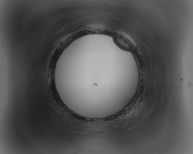 X0000097491016200802220836