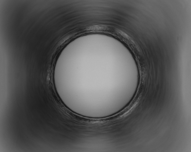 X0000097491017200802220836