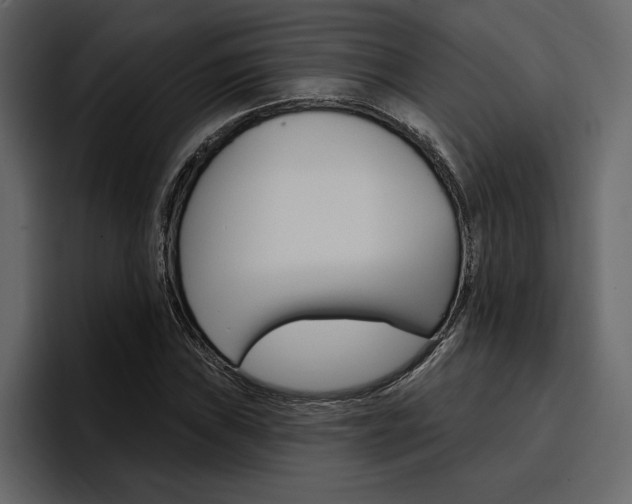 X0000097491019200802220836