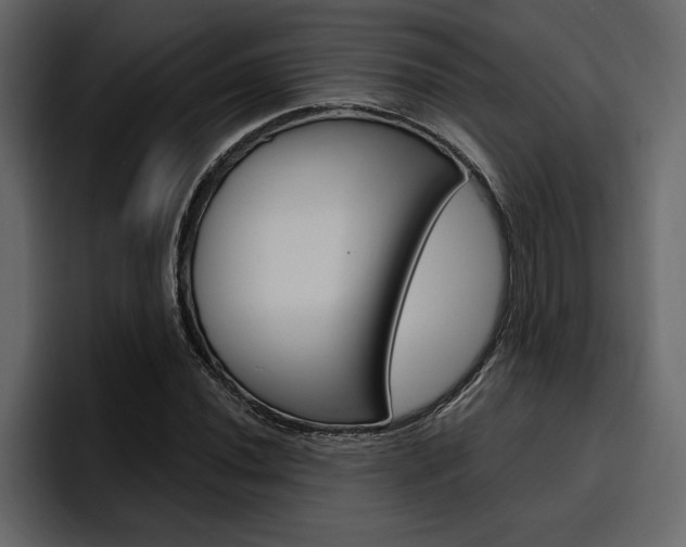 X0000097491020200802220836