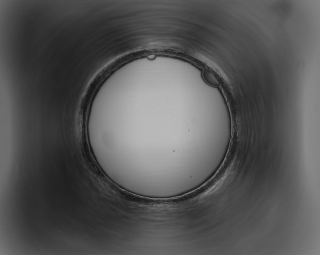 X0000097491021200802220836