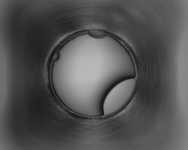 X0000097491022200802220836