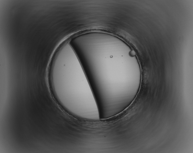 X0000097491024200802220836