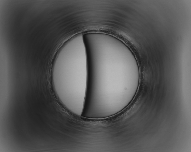 X0000097491025200802220836